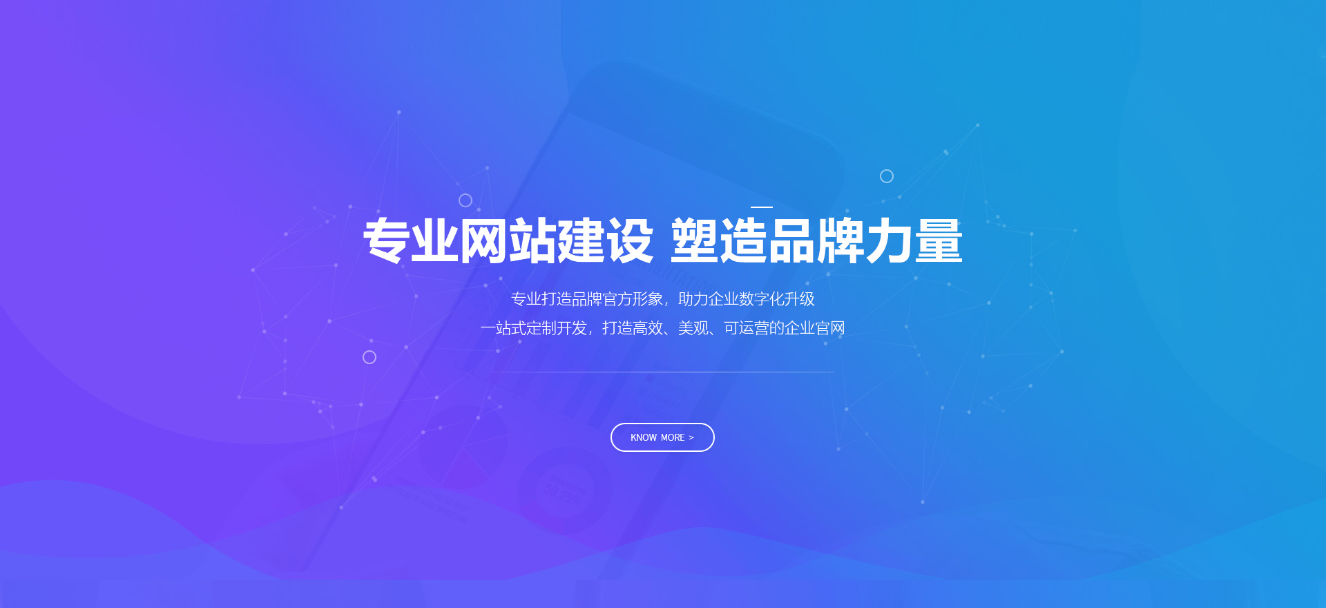绵阳建站-专业网站建设 塑造品牌力量