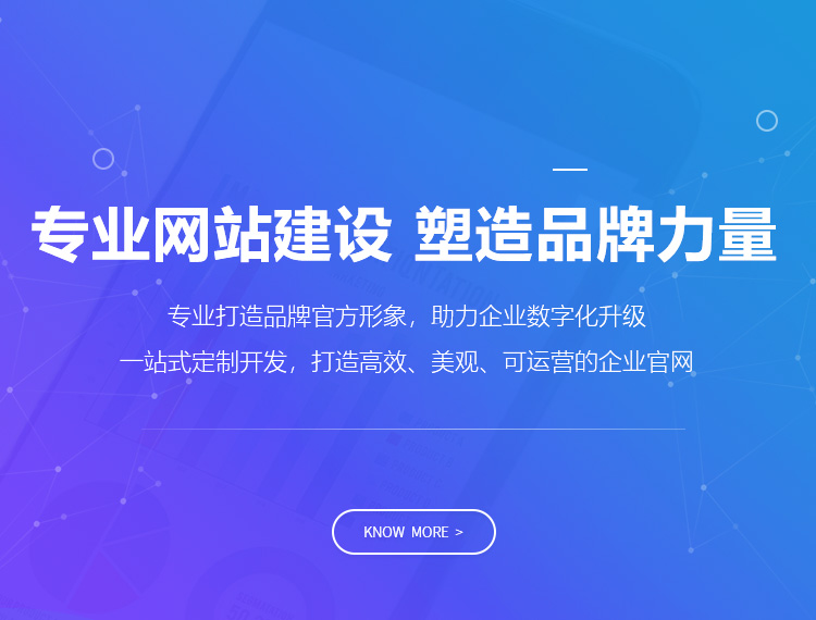 绵阳建站-专业网站建设 塑造品牌力量